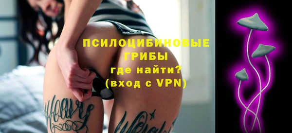 mix Белокуриха