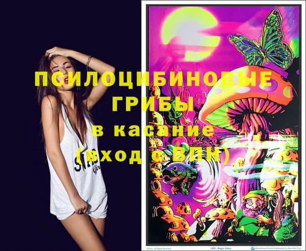 дживик Беломорск
