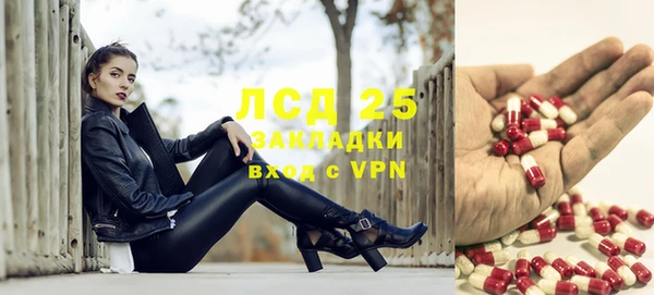 дживик Беломорск